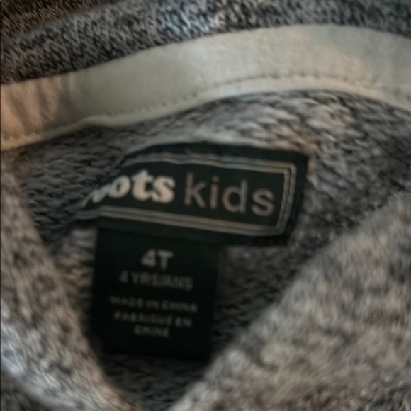 Roots Gray Pullover Hoodie with Logo - Picture 4 of 5